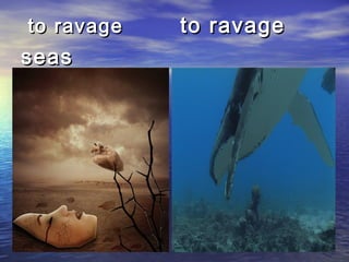 to ravageto ravage to ravageto ravage
seasseas
 