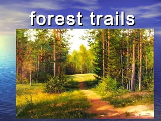 forest trailsforest trails
 