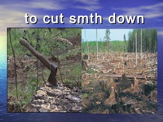 to cut smth downto cut smth down
• вырубка.jpgвырубка.jpg
 