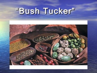 ““Bush Tucker”Bush Tucker”
 