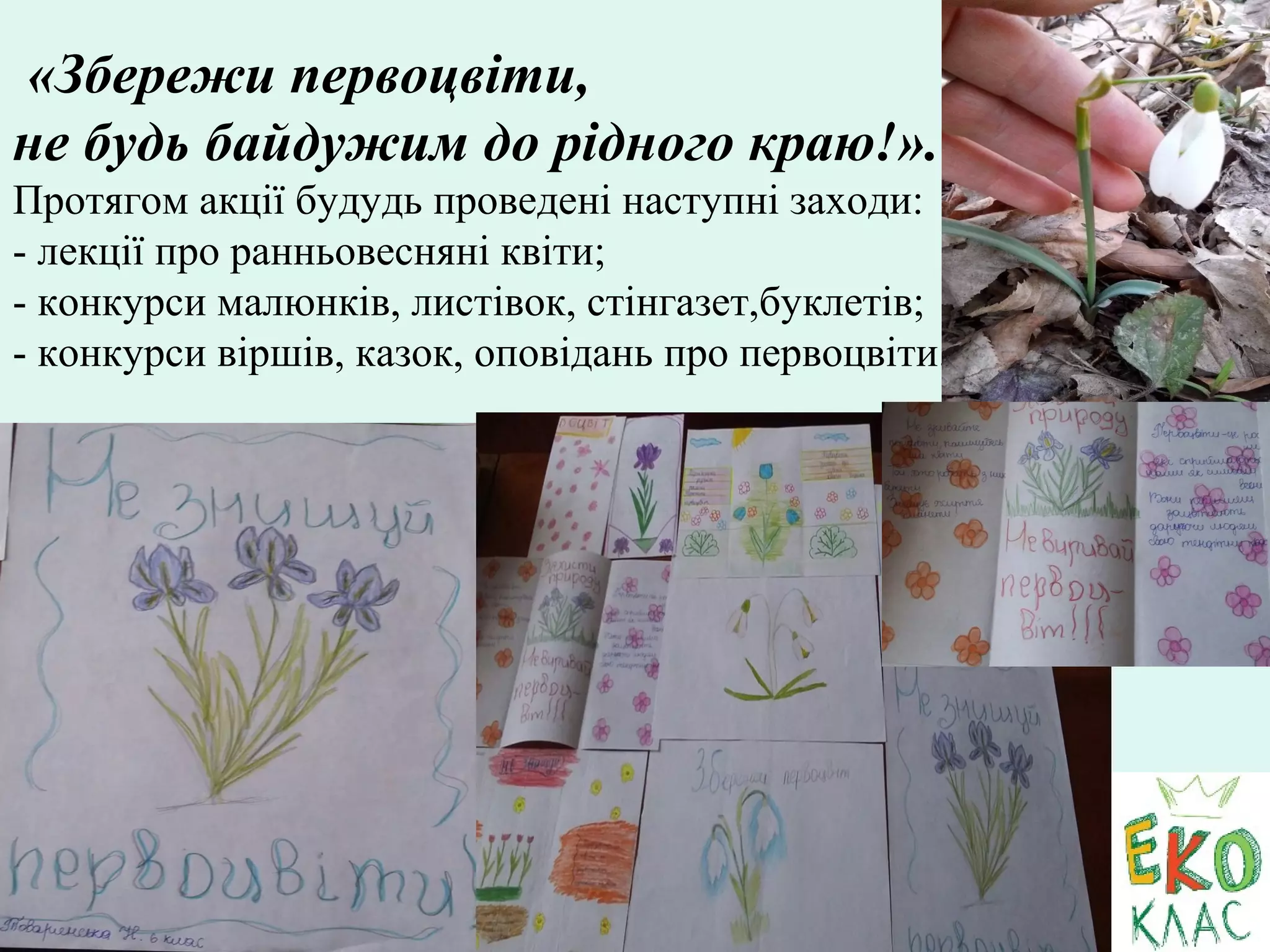 «Збережи первоцвіти,
не будь байдужим до рідного краю!».
Протягом акції будудь проведені наступні заходи:
- лекції про ранньовесняні квіти;
- конкурси малюнків, листівок, стінгазет,буклетів;
- конкурси віршів, казок, оповідань про первоцвіти.
 
