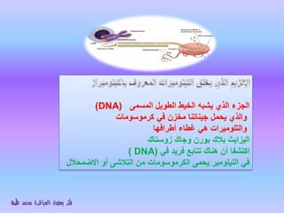 التيلومير | PPT