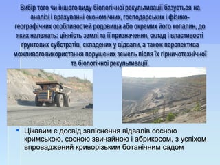  Цікавим є досвід заліснення відвалів сосноюЦікавим є досвід заліснення відвалів сосною
кримською, сосною звичайною і абрикосом, з успіхомкримською, сосною звичайною і абрикосом, з успіхом
впроваджений криворізьким ботанічним садомвпроваджений криворізьким ботанічним садом
 