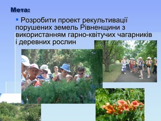  Розробити проект рекультиваціїРозробити проект рекультивації
порушених земель Рівненщини зпорушених земель Рівненщини з
використанням гарно-квітучих чагарниківвикористанням гарно-квітучих чагарників
і деревних рослині деревних рослин
 