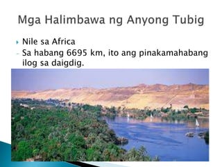 Nile sa Africa
- Sa habang 6695 km, ito ang pinakamahabang
ilog sa daigdig.
 