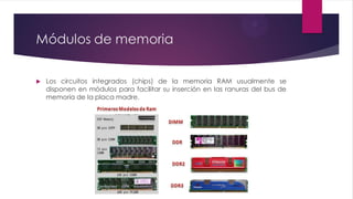 Módulos de memoria
 Los circuitos integrados (chips) de la memoria RAM usualmente se
disponen en módulos para facilitar su inserción en las ranuras del bus de
memoria de la placa madre.
 