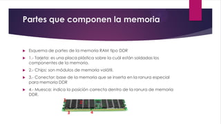 Partes que componen la memoria
 Esquema de partes de la memoria RAM tipo DDR
 1.- Tarjeta: es una placa plástica sobre la cuál están soldadas los
componentes de la memoria.
 2.- Chips: son módulos de memoria volátil.
 3.- Conector: base de la memoria que se inserta en la ranura especial
para memoria DDR
 4.- Muesca: indica la posición correcta dentro de la ranura de memoria
DDR.
 