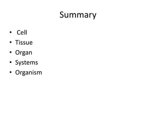 Summary
• Cell
• Tissue
• Organ
• Systems
• Organism
 