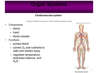 Organ Systems
19
Cardiovascular system
Copyright © The McGraw-Hill Companies, Inc. Permission required for reproduction or display.
• Components
– blood
– heart
– blood vessels
• Functions
– pumps blood
– carries O2 and nutrients to
cells and wastes away
– regulates temperature,
acid-base balance, and
H2O
 