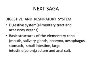 NEXT SAGA
DIGESTIVE AND RESPIRATORY SYSTEM
• Digestive system(alimentary tract and
accessory organs)
• Basic structures of the elementary canal
(mouth, salivary glands, pharynx, oesophagus,
stomach, small intestine, large
intestine(colon),rectum and anal cal).
 