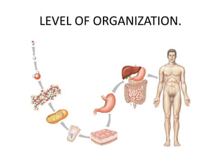 LEVEL OF ORGANIZATION.
 