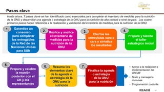 17
Pasos clave
Garantice un
consenso
para completar
los entregables
de la Red de las
Naciones Unidas
para SUN
Realice y analice
el inventario de
medidas para la
nutrición de la
ONU
Efectúe las
entrevistas cara a
cara y sintetice
los resultados
Prepare y facilite
el taller
estratégico inicial
Prepare y celebre
la reunión
posterior con el
CR y los
representantes
Resuma los
elementos clave
de la agenda o
estrategia de la
ONU para la
nutrición
Finalice la agenda
o estrategia
de la ONU
para la nutrición
Hasta ahora, 7 pasos clave se han identificado como esenciales para completar el inventario de medidas para la nutrición
de la ONU y desarrollar una agenda o estrategia de la ONU para la nutrición de alta calidad a nivel de país. Los cuatro
primeros pasos hacen referencia a la realización y validación del inventario de medidas para la nutrición de la ONU.
1.
2. 3. 4.
5. 6. 7. • Apoyo a la redacción e
implementación del
UNDAF
• Texto y mensajería
comunes
• Programación conjunta
 