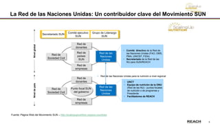 5
La Red de las Naciones Unidas: Un contribuidor clave del Movimiento SUN
Fuente: Página Web del Movimiento SUN – http://scalingupnutrition.org/sun-countries
Secretariado SUN
Grupo de Liderazgo
SUN
Red de
países
SUN
Punto focal SUN
del gobierno
Red de las
Naciones
Unidas
Red de las
Naciones
Unidas
Red de
Sociedad Civil
Red de
Sociedad Civil
Red de
donantes
Red de
donantes
Red de
empresas
Red de
empresas
NivelglobalNiveldepaís
• UNCT
• Equipo de nutrición de la ONU
(Red de las NU) - puntos focales
de nutrición o de programas y
Presidente
• Facilitadores de REACH
• Comité directivo de la Red de
las Naciones Unidas (FAO, OMS,
PMA, UNICEF, FIDA)
• Secretariado de la Red de las
NU para SUN/REACH
• Red de las Naciones Unidas para la nutrición a nivel regional
Comité ejecutivo
SUN
 