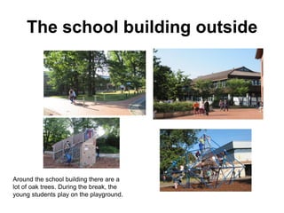 The school building outside
Around the school building there are a
lot of oak trees. During the break, the
young students play on the playground.
 