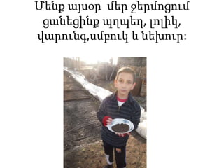 Մենք այսօր մեր ջերմոցում
ցանեցինք պղպեղ, լոլիկ,
վարունգ,սմբուկ և նեխուր:
 