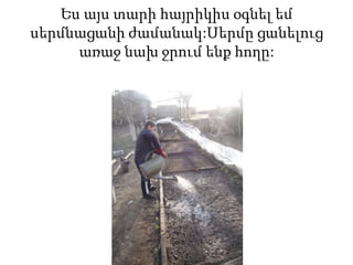 Ես այս տարի հայրիկիս օգնել եմ
սերմնացանի ժամանակ:Սերմը ցանելուց
առաջ նախ ջրում ենք հողը:
 