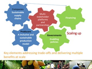 Climate Smart Landscapes: addressing trade-offs and delivering multiple benefits at scale