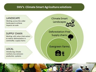 Climate Smart Landscapes: addressing trade-offs and delivering multiple benefits at scale