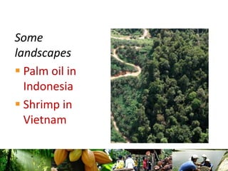 Climate Smart Landscapes: addressing trade-offs and delivering multiple benefits at scale