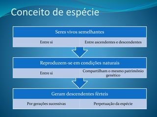 Conceito de espécie
Geram descendentes férteis
Por gerações sucessivas Perpetuação da espécie
Reproduzem-se em condições naturais
Entre si
Compartilham o mesmo patrimônio
genético
Seres vivos semelhantes
Entre si Entre ascendentes e descendentes
 