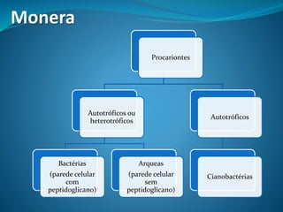 Monera
Procariontes
Autotróficos ou
heterotróficos
Bactérias
(parede celular
com
peptidoglicano)
Arqueas
(parede celular
sem
peptidoglicano)
Autotróficos
Cianobactérias
 