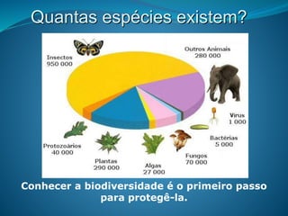 Quantas espécies existem?
Conhecer a biodiversidade é o primeiro passo
para protegê-la.
 