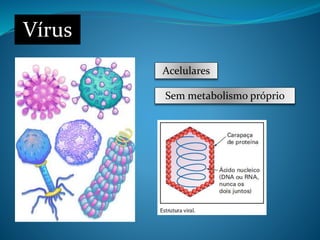 Vírus
Acelulares
Sem metabolismo próprio
 