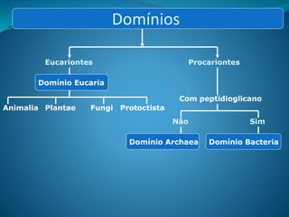 Domínios
Eucariontes Procariontes
Domínio Eucaria
Animalia Plantae Fungi Protoctista
Com peptidioglicano
Não Sim
Domínio Archaea Domínio Bacteria
 