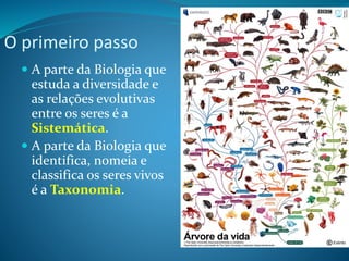 O primeiro passo
 A parte da Biologia que
estuda a diversidade e
as relações evolutivas
entre os seres é a
Sistemática.
 A parte da Biologia que
identifica, nomeia e
classifica os seres vivos
é a Taxonomia.
 