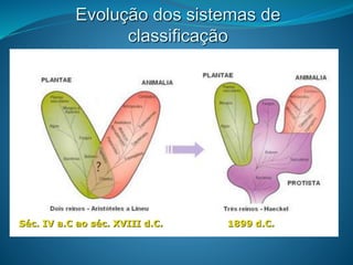 Evolução dos sistemas de
classificação
Séc. IV a.C ao séc. XVIII d.C. 1899 d.C.
 
