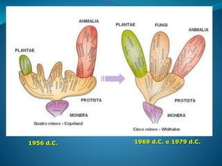 1969 d.C. e 1979 d.C.1956 d.C.
 