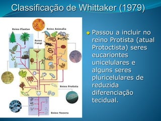 Classificação de Whittaker (1979)
 Passou a incluir no
reino Protista (atual
Protoctista) seres
eucariontes
unicelulares e
alguns seres
pluricelulares de
reduzida
diferenciação
tecidual.
 