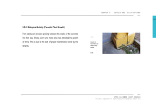 CHAPTER 9 DEFECTS AND DILIPIDATIONS
IPOH RAINBOW SHOP HOUSES
TAYLOR’S UNIVERSITY 2016 MEASURED DRAWING GROUP SIX
9.2.8 Biological Activity (Parasitic Plant Growth)
Fern plants can be seen growing between the cracks of the concrete
ive foot way. Shady, warm and moist area has attracted the growth
of ferns. This is due to the lack of proper maintenance done by the
tenants.
Growth of
Fern Plants on
Yellow Shop
House
[130]
126
 