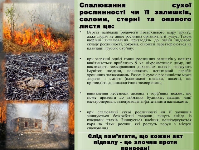 Результат пошуку зображень за запитом "спалювання сухої трави"