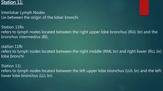 radiological anatomy of thoracic lymph nodes | PPTX