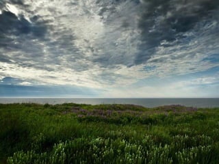 Митрополит Игнатий 