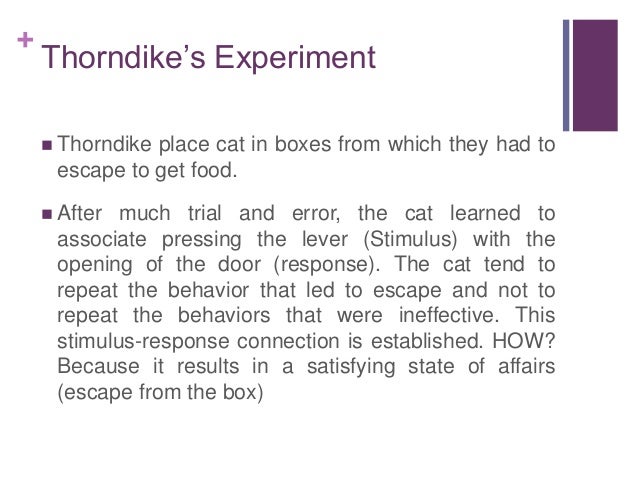 1.6 edward l. thorndike connectionism theory