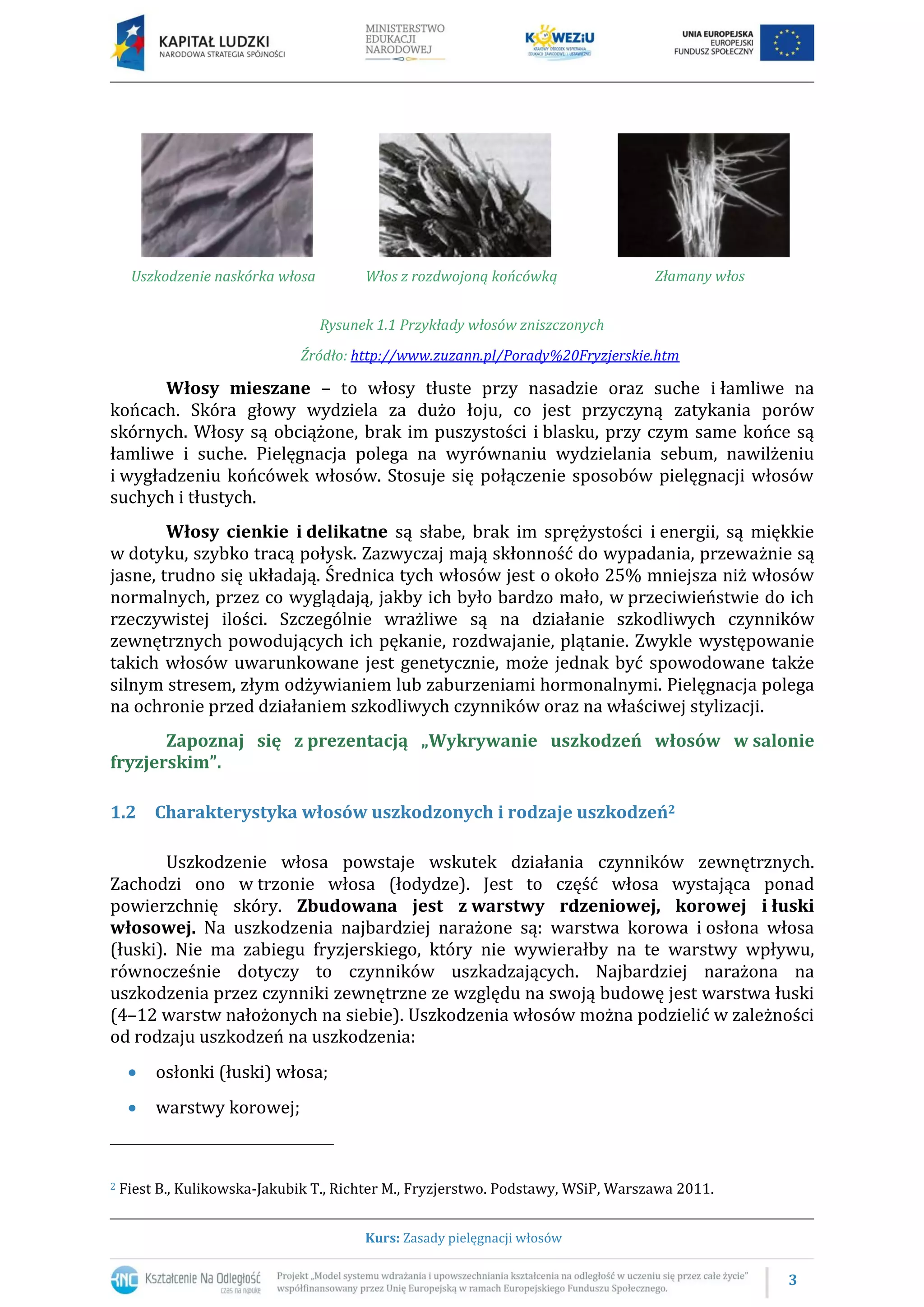3
Kurs: Zasady pielęgnacji włosów
Uszkodzenie naskórka włosa Włos z rozdwojoną końcówką Złamany włos
Rysunek 1.1 Przykłady włosów zniszczonych
Źródło: http://www.zuzann.pl/Porady%20Fryzjerskie.htm
Włosy mieszane – to włosy tłuste przy nasadzie oraz suche i łamliwe na
końcach. Skóra głowy wydziela za dużo łoju, co jest przyczyną zatykania porów
skórnych. Włosy są obciążone, brak im puszystości i blasku, przy czym same końce są
łamliwe i suche. Pielęgnacja polega na wyrównaniu wydzielania sebum, nawilżeniu
i wygładzeniu końcówek włosów. Stosuje się połączenie sposobów pielęgnacji włosów
suchych i tłustych.
Włosy cienkie i delikatne są słabe, brak im sprężystości i energii, są miękkie
w dotyku, szybko tracą połysk. Zazwyczaj mają skłonność do wypadania, przeważnie są
jasne, trudno się układają. Średnica tych włosów jest o około 25% mniejsza niż włosów
normalnych, przez co wyglądają, jakby ich było bardzo mało, w przeciwieństwie do ich
rzeczywistej ilości. Szczególnie wrażliwe są na działanie szkodliwych czynników
zewnętrznych powodujących ich pękanie, rozdwajanie, plątanie. Zwykle występowanie
takich włosów uwarunkowane jest genetycznie, może jednak być spowodowane także
silnym stresem, złym odżywianiem lub zaburzeniami hormonalnymi. Pielęgnacja polega
na ochronie przed działaniem szkodliwych czynników oraz na właściwej stylizacji.
Zapoznaj się z prezentacją „Wykrywanie uszkodzeń włosów w salonie
fryzjerskim”.
1.2 Charakterystyka włosów uszkodzonych i rodzaje uszkodzeń2
Uszkodzenie włosa powstaje wskutek działania czynników zewnętrznych.
Zachodzi ono w trzonie włosa (łodydze). Jest to część włosa wystająca ponad
powierzchnię skóry. Zbudowana jest z warstwy rdzeniowej, korowej i łuski
włosowej. Na uszkodzenia najbardziej narażone są: warstwa korowa i osłona włosa
(łuski). Nie ma zabiegu fryzjerskiego, który nie wywierałby na te warstwy wpływu,
równocześnie dotyczy to czynników uszkadzających. Najbardziej narażona na
uszkodzenia przez czynniki zewnętrzne ze względu na swoją budowę jest warstwa łuski
(4–12 warstw nałożonych na siebie). Uszkodzenia włosów można podzielić w zależności
od rodzaju uszkodzeń na uszkodzenia:
 osłonki (łuski) włosa;
 warstwy korowej;
2 Fiest B., Kulikowska-Jakubik T., Richter M., Fryzjerstwo. Podstawy, WSiP, Warszawa 2011.
 