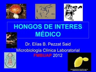 HONGOS DE INTERES
MÉDICO
Dr. Elías B. Pezzat Said
Microbiología Clínica Laboratorial
FMBUAP 2012
pathmicro.med.sc.edu
 