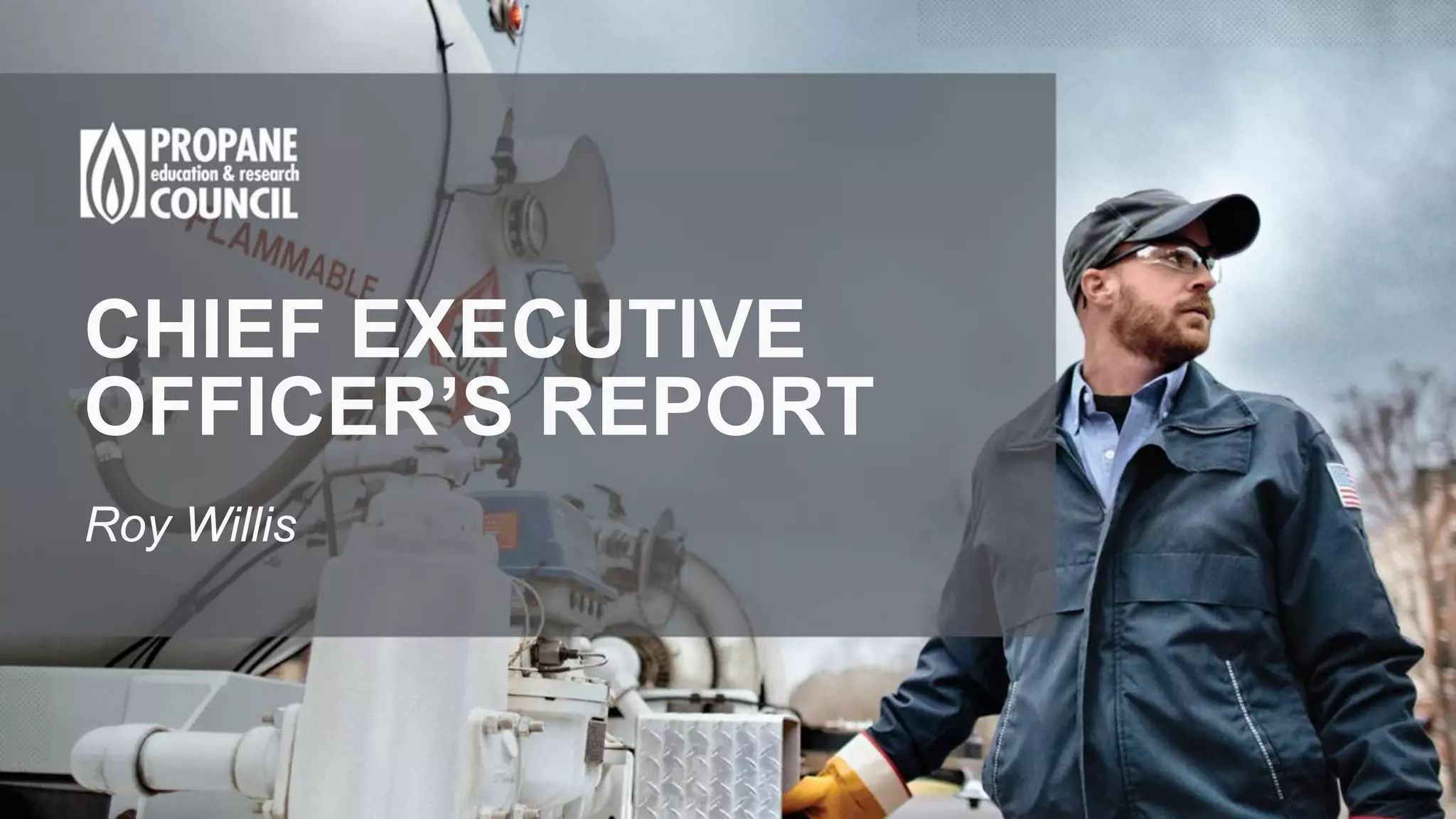 CHIEF EXECUTIVE
OFFICER’S REPORT
Roy Willis
 