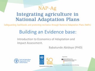 Building an Evidence base:
Introduction to Economics of Adaptation and
Impact Assessment.
Babatunde Abidoye (PHD)
 