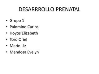 1. desarrrollo prenatal | PPT