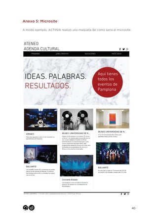 40
Anexo 5: Microsite
A modo ejemplo, ACTINIA realizó una maqueta de cómo sería el microsite:
 