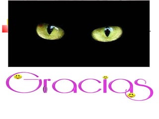 OBJETIVO 4 PEN, ANALISIS