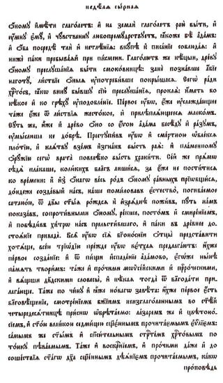 постен триод-1