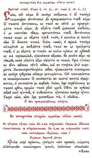 постен триод-1