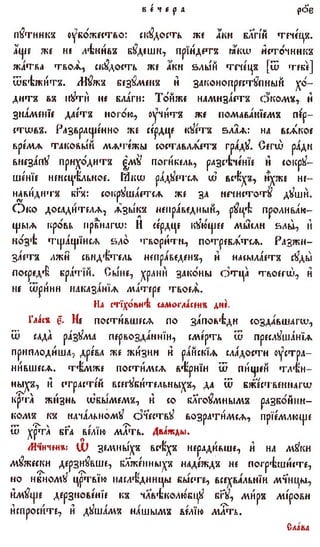 постен триод-1