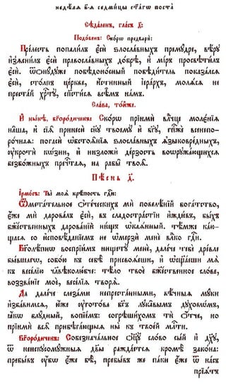 постен триод-1