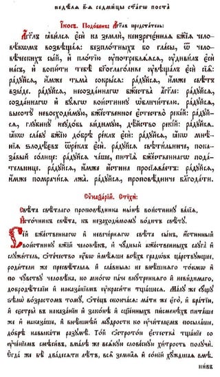 постен триод-1