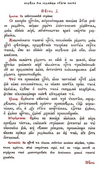 постен триод-1